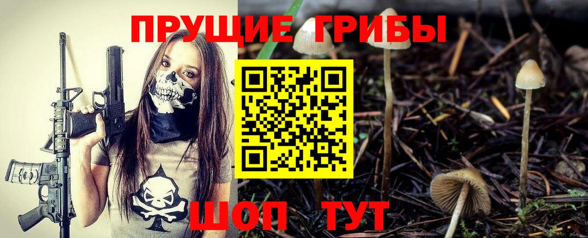 Галлюциногенные грибы мицелий Обь